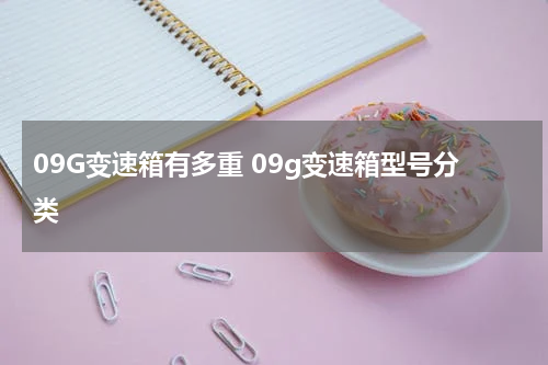 09G变速箱有多重 09g变速箱型号分类
