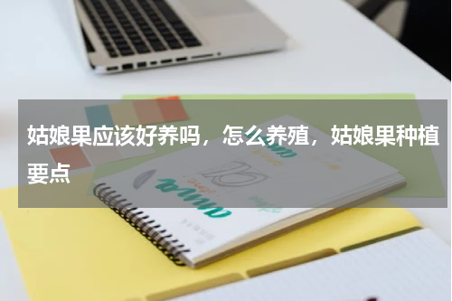 姑娘果应该好养吗，怎么养殖，姑娘果种植要点