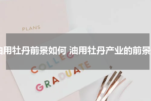 油用牡丹前景如何 油用牡丹产业的前景