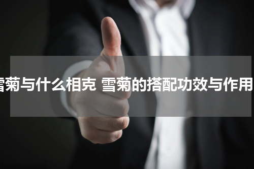 雪菊与什么相克 雪菊的搭配功效与作用