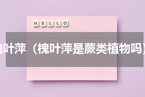 槐叶萍（槐叶萍是蕨类植物吗）