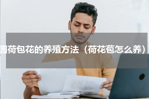 圆荷包花的养殖方法（荷花苞怎么养）
