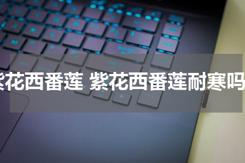 紫花西番莲 紫花西番莲耐寒吗