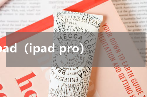 ipad（ipad pro）