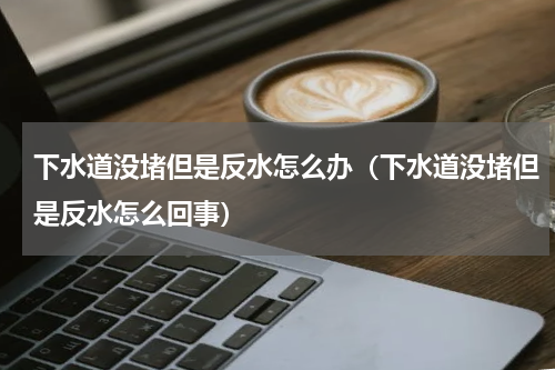 下水道没堵但是反水怎么办（下水道没堵但是反水怎么回事）