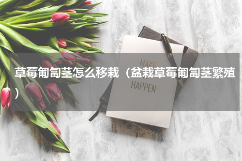 草莓匍匐茎怎么移栽（盆栽草莓匍匐茎繁殖）