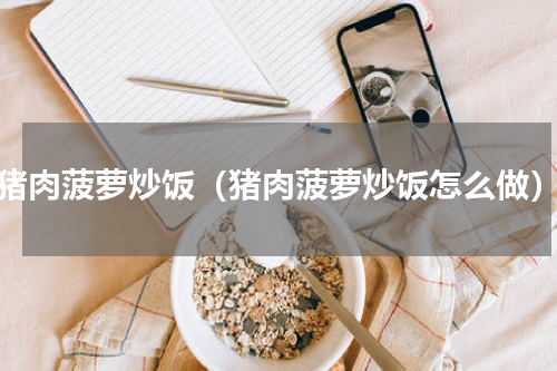 猪肉菠萝炒饭（猪肉菠萝炒饭怎么做）