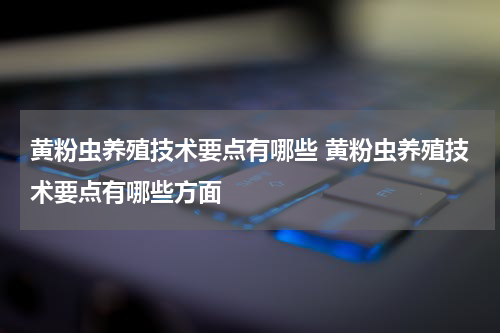 黄粉虫养殖技术要点有哪些 黄粉虫养殖技术要点有哪些方面