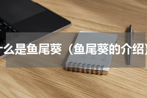 什么是鱼尾葵（鱼尾葵的介绍）