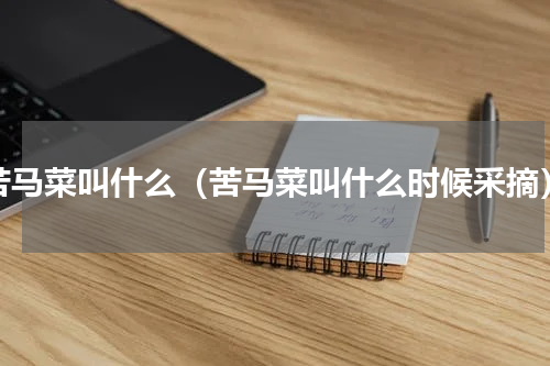 苦马菜叫什么（苦马菜叫什么时候采摘）