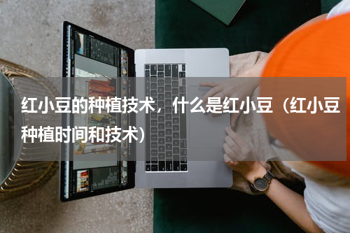 红小豆的种植技术，什么是红小豆（红小豆种植时间和技术）