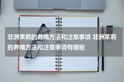 非洲茉莉的养殖方法和注意事项 非洲茉莉的养殖方法和注意事项有哪些