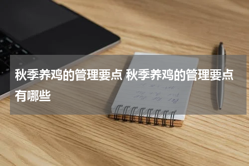 秋季养鸡的管理要点 秋季养鸡的管理要点有哪些