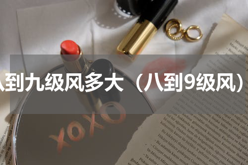 八到九级风多大（八到9级风）
