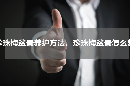 珍珠梅盆景养护方法，珍珠梅盆景怎么养