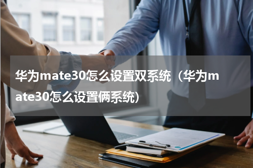 华为mate30怎么设置双系统（华为mate30怎么设置俩系统）