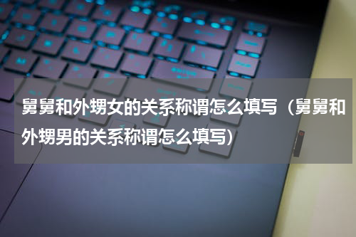 舅舅和外甥女的关系称谓怎么填写（舅舅和外甥男的关系称谓怎么填写）