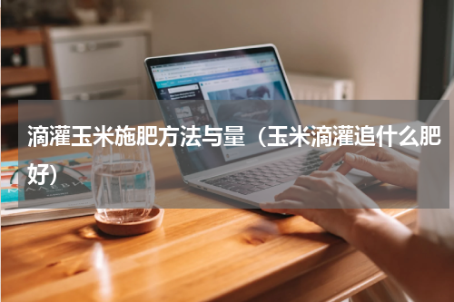 滴灌玉米施肥方法与量（玉米滴灌追什么肥好）