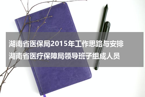 湖南省医保局2015年工作思路与安排 湖南省医疗保障局领导班子组成人员
