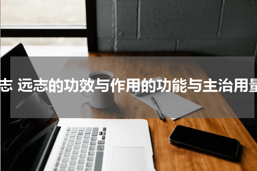 远志 远志的功效与作用的功能与主治用量
