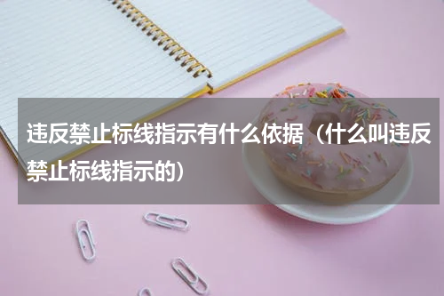 违反禁止标线指示有什么依据（什么叫违反禁止标线指示的）