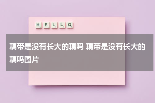 藕带是没有长大的藕吗 藕带是没有长大的藕吗图片