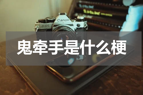 鬼牵手是什么梗