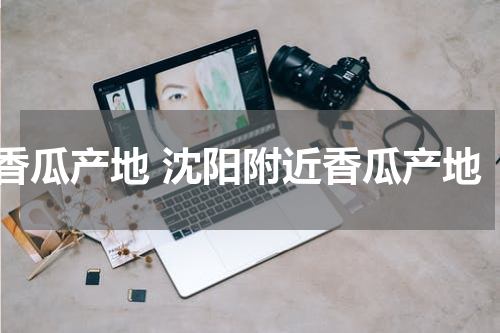 香瓜产地 沈阳附近香瓜产地