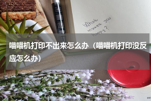 喵喵机打印不出来怎么办（喵喵机打印没反应怎么办）