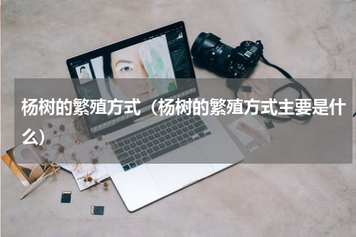杨树的繁殖方式（杨树的繁殖方式主要是什么）