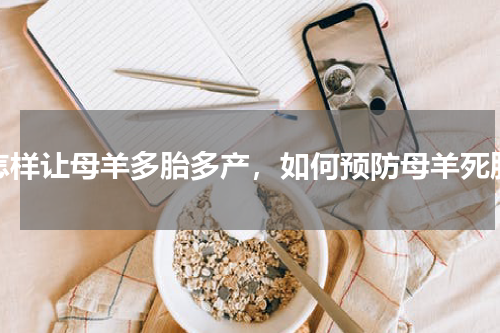 怎样让母羊多胎多产，如何预防母羊死胎