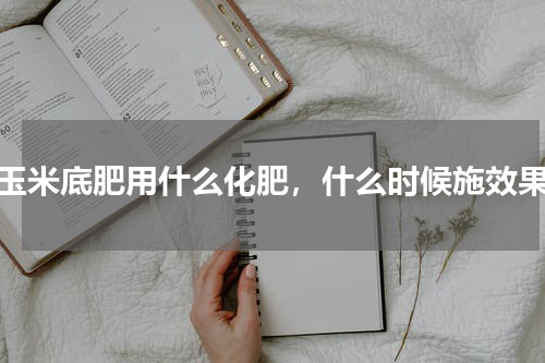 种玉米底肥用什么化肥，什么时候施效果好