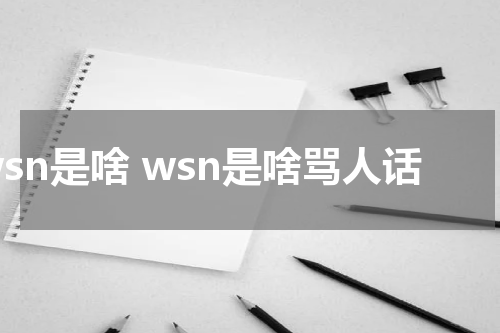 wsn是啥 wsn是啥骂人话