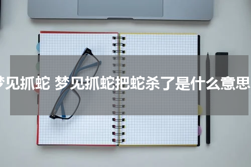 梦见抓蛇 梦见抓蛇把蛇杀了是什么意思