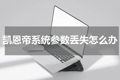 凯恩帝系统参数丢失怎么办