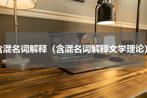 含混名词解释（含混名词解释文学理论）