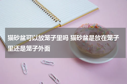 猫砂盆可以放笼子里吗 猫砂盆是放在笼子里还是笼子外面