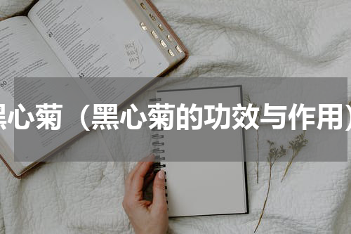 黑心菊（黑心菊的功效与作用）