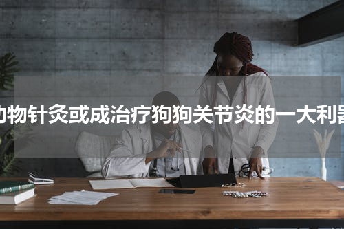 动物针灸或成治疗狗狗关节炎的一大利器