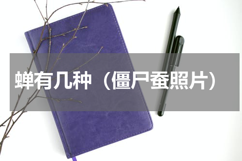 蝉有几种（僵尸蚕照片）