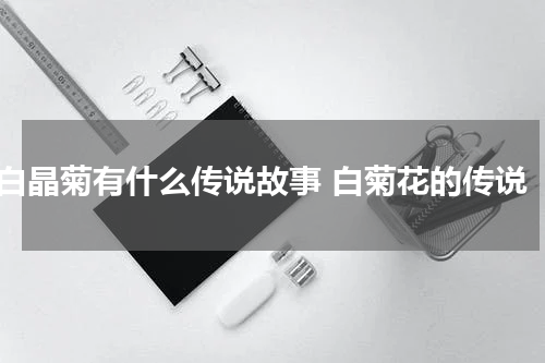 白晶菊有什么传说故事 白菊花的传说