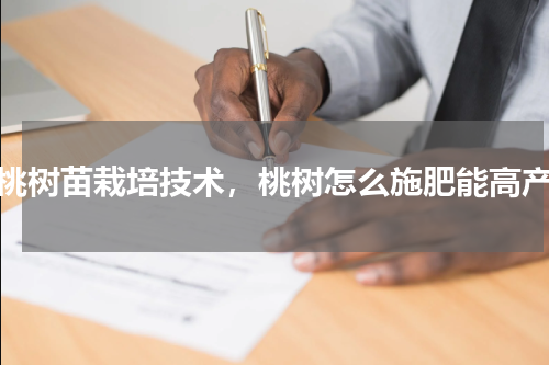 桃树苗栽培技术，桃树怎么施肥能高产