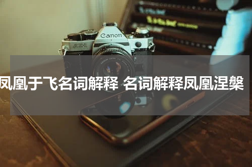 凤凰于飞名词解释 名词解释凤凰涅槃
