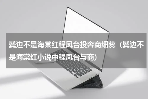 鬓边不是海棠红程凤台投奔商细蕊（鬓边不是海棠红小说中程凤台与商）