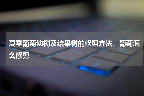 夏季葡萄幼树及结果树的修剪方法，葡萄怎么修剪