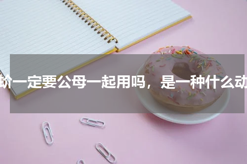 蛤蚧一定要公母一起用吗，是一种什么动物