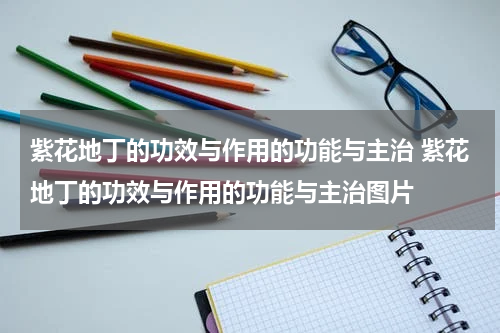 紫花地丁的功效与作用的功能与主治 紫花地丁的功效与作用的功能与主治图片