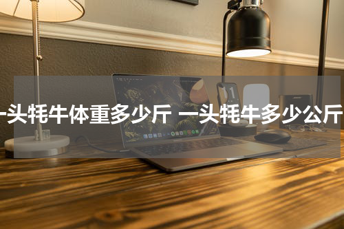 一头牦牛体重多少斤 一头牦牛多少公斤