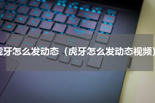 虎牙怎么发动态（虎牙怎么发动态视频）