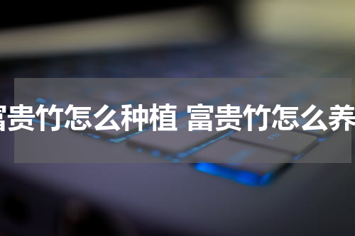 富贵竹怎么种植 富贵竹怎么养